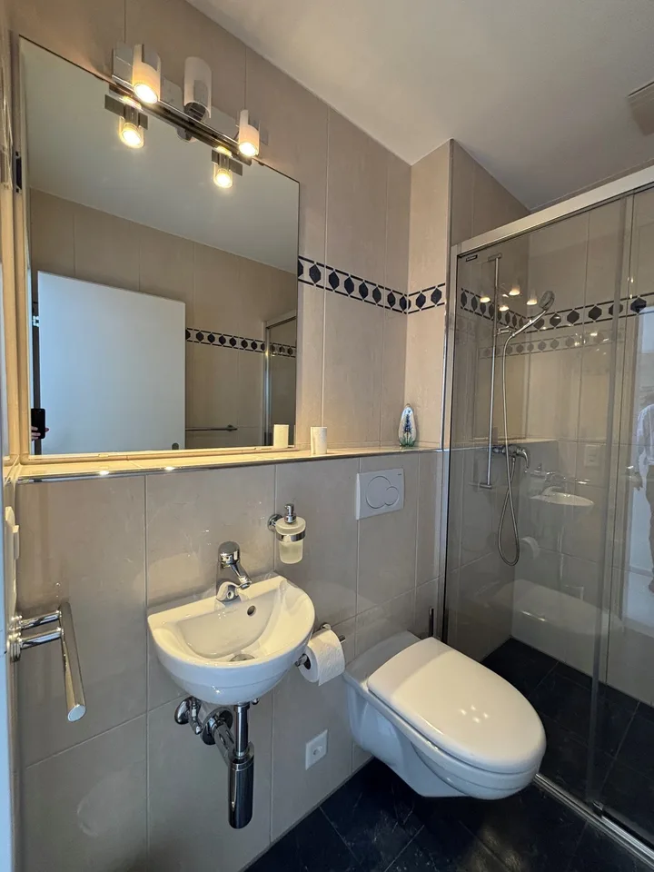 Appartement de 5,5 pièces en attique avec vue sur les Alpes – photo 13 sur 17