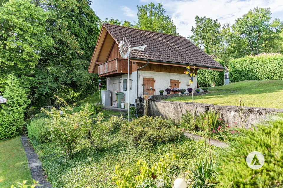Offerta varia tra lago e boschi – foto 5 di 13