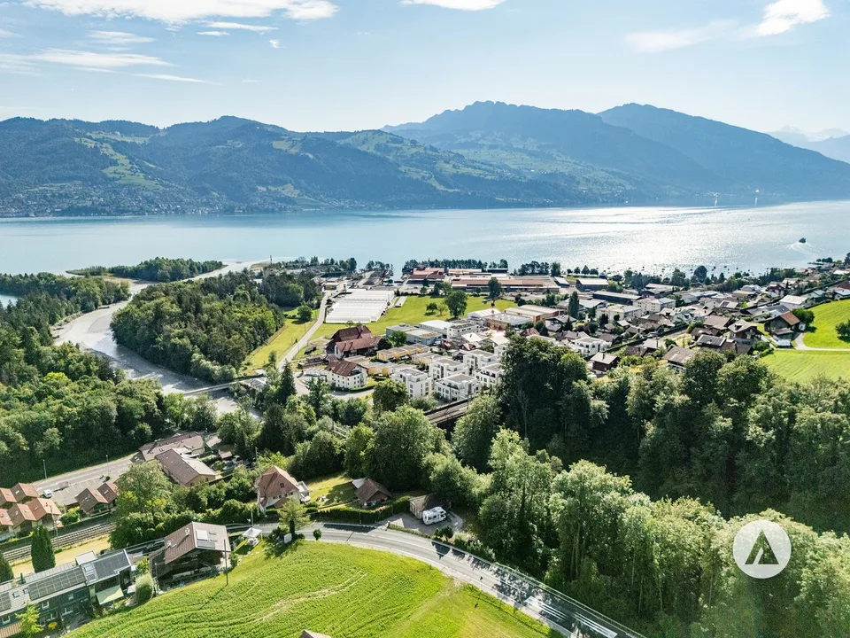 Terreno tra lago e foreste – foto 5 di 11