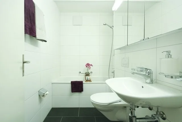 Zentrale Wohnung in Reinach BL