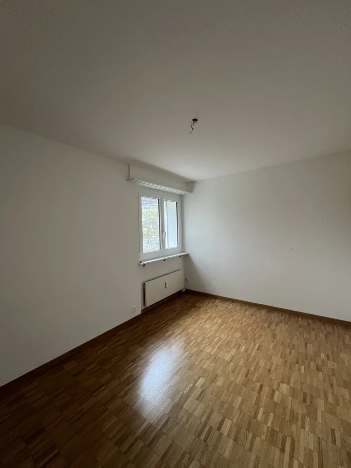 4-Bedroom Apartment for Rent in Niederdorf
