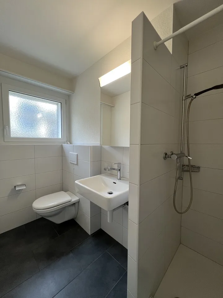 4-Bedroom Apartment for Rent in Niederdorf