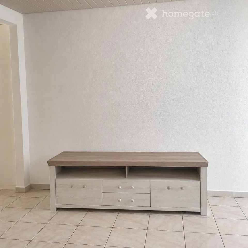 Beautiful, bright, completely renovated 3.5-room ground-floor apartment in Niederbuchsiten