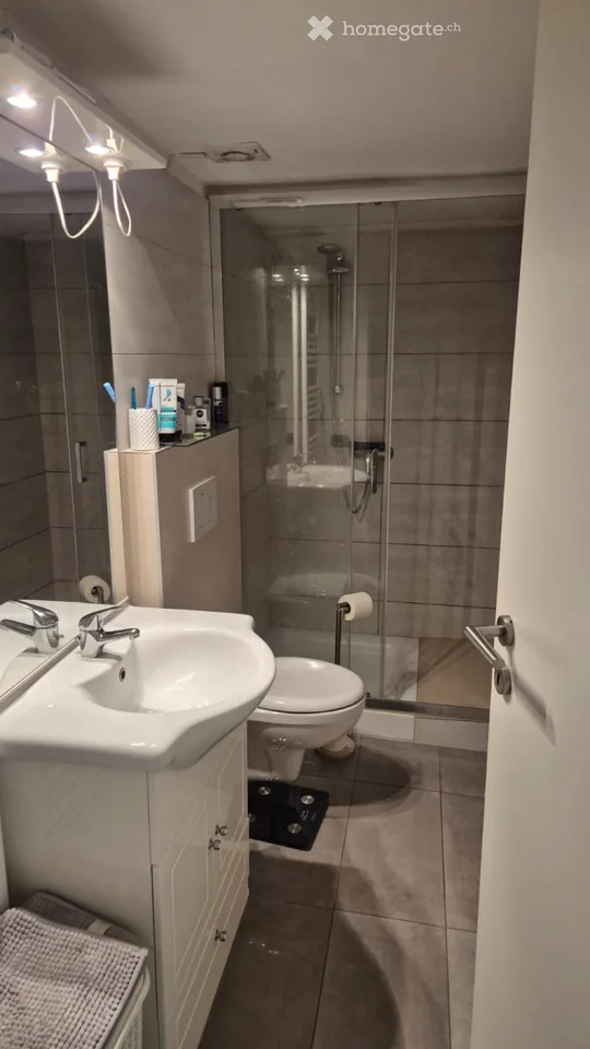 Miete 1.5 Zimmer in Contone