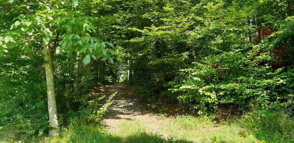 Casa unifamiliare affascinante con vista panoramica a Uerkheim – foto 4 di 5