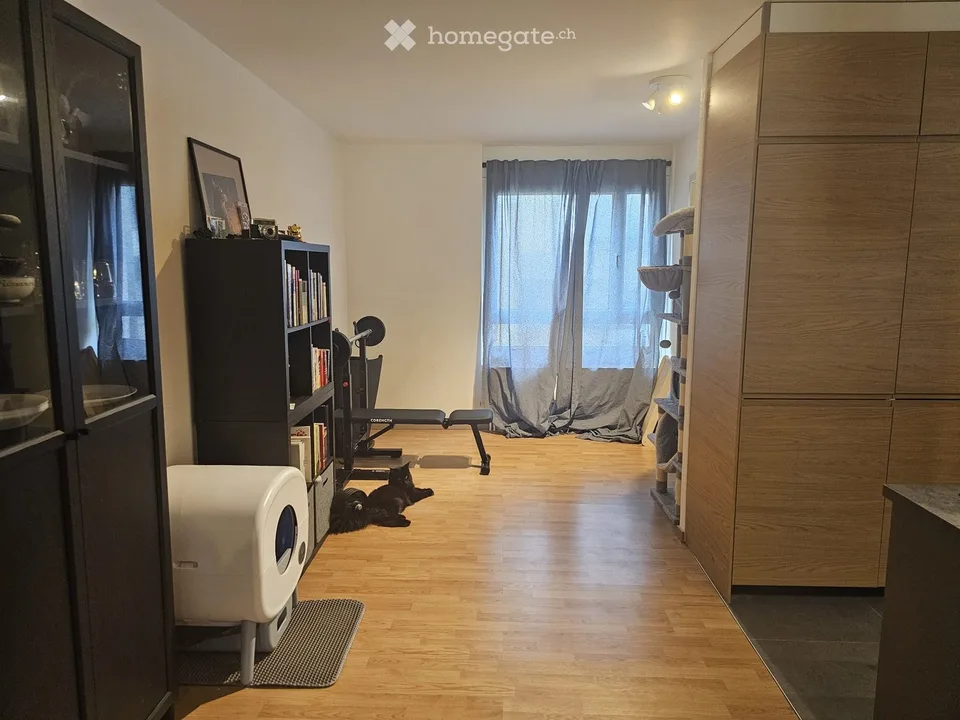 Bright 3-room apartment in Versoix – Pets allowed