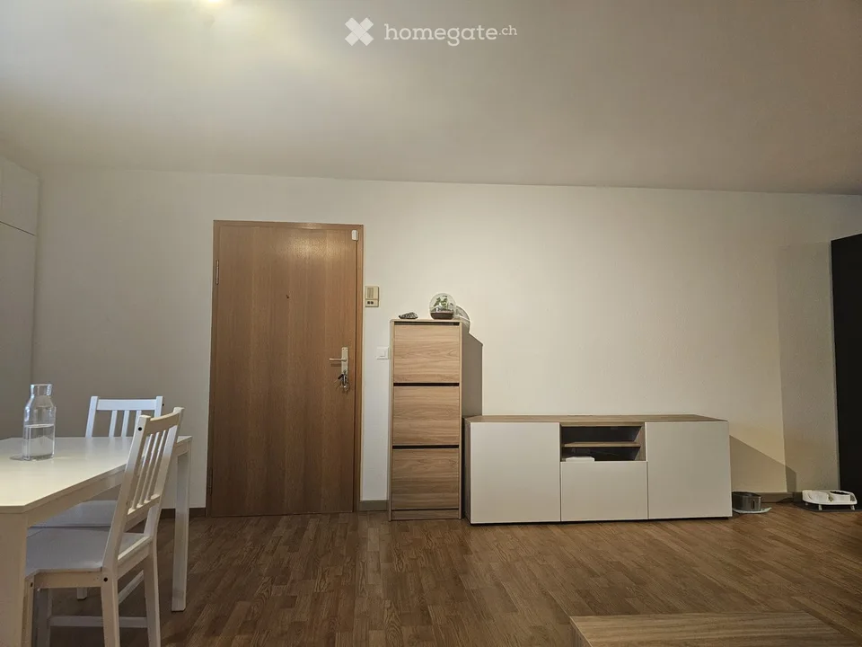 Bright 3-room apartment in Versoix – Pets allowed