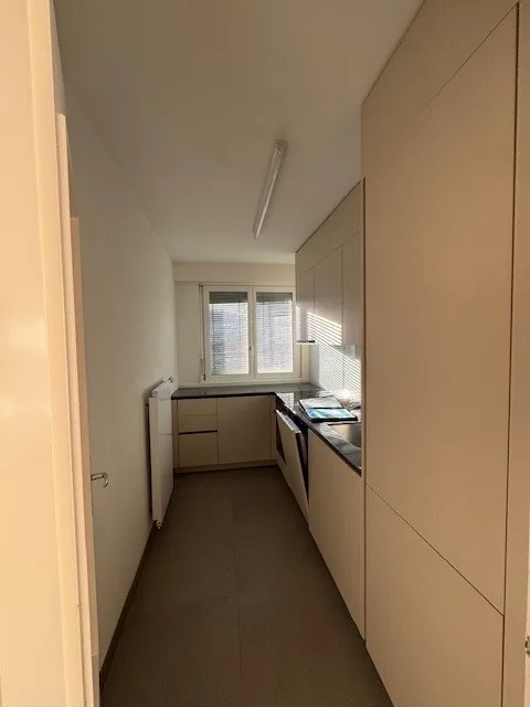 Appartement de 3 pièces accueillant à Reinach avec balcon