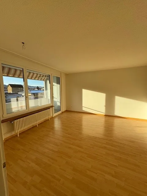 Appartement de 3 pièces accueillant à Reinach avec balcon