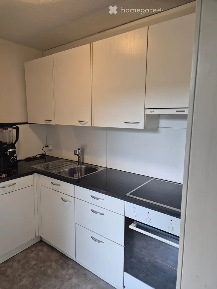 Très spacieux appartement 2,5 pièces avec grand balcon sur le côté ensoleillé
