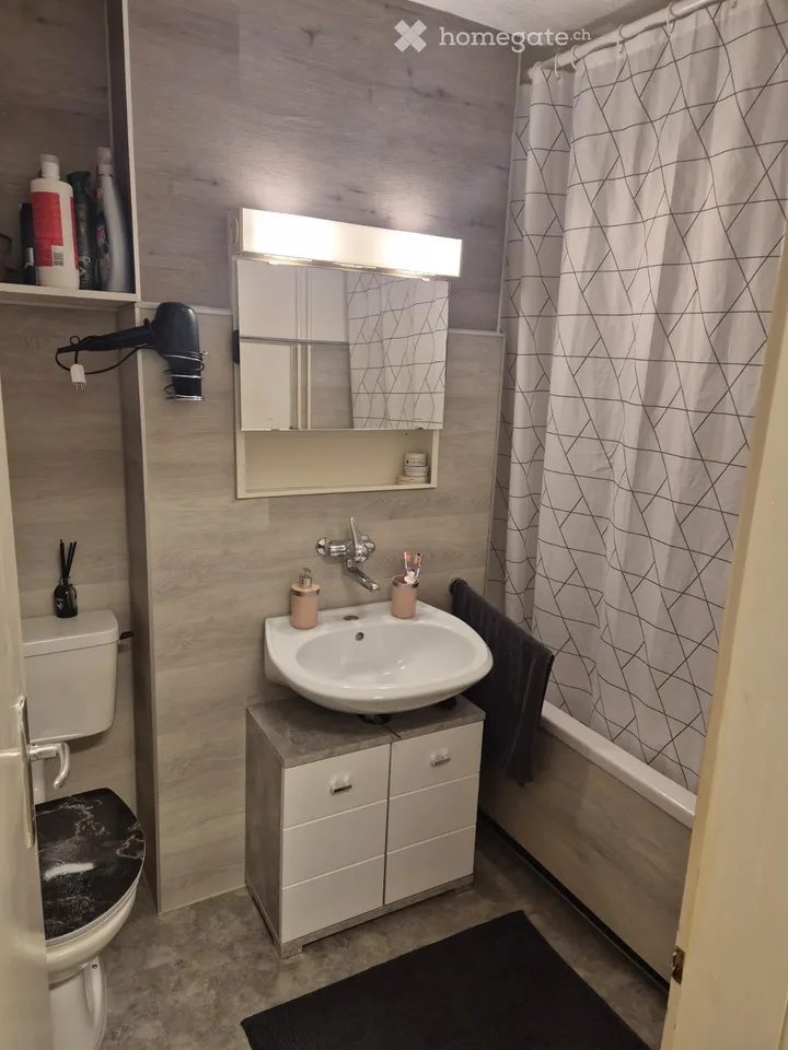 Très spacieux appartement 2,5 pièces avec grand balcon sur le côté ensoleillé