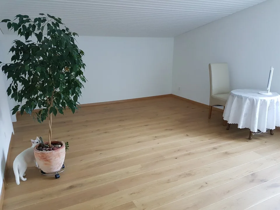 Incantevole casa unifamiliare di 5 locali a Gränichen