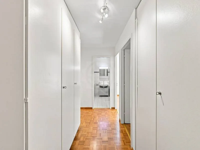 Charmantes Apartment - Corsier GE
