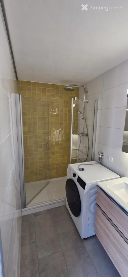 Le Pâquier Très bel appartement de 1,5 pièce à louer