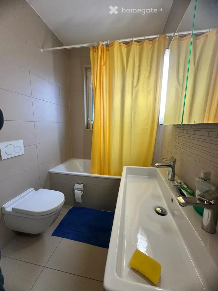 Charmantes 3.5-Zimmer-Dachwohnung in Yverdon-les-Bains
