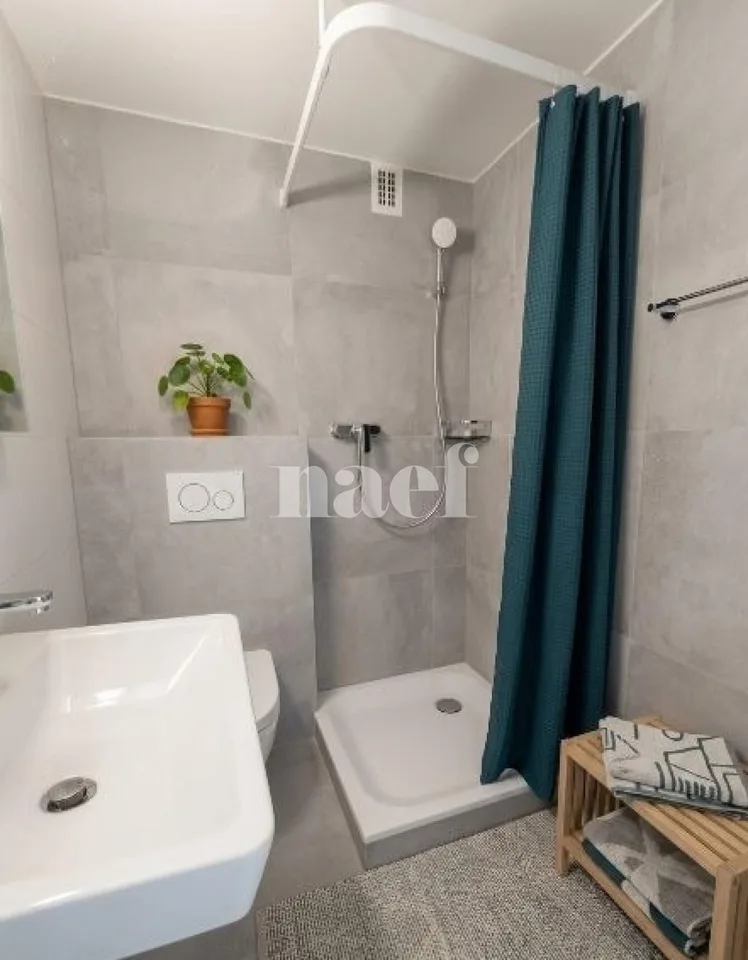 Schönes renoviertes Studio – Foto 3 von 6