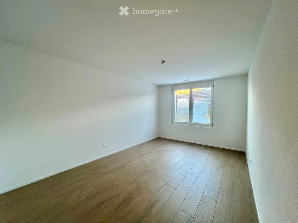 Modern 3.5-room new apartment with balcony in Altbüron
