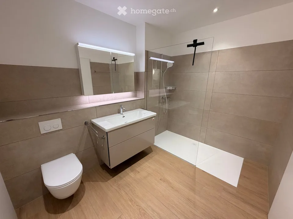 Modern 3.5-room new apartment with balcony in Altbüron