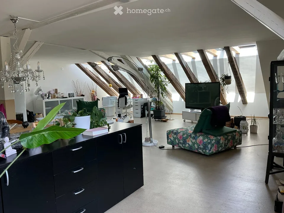 Loft moderno 2 locali in via Othmar Blumer a Freienstein