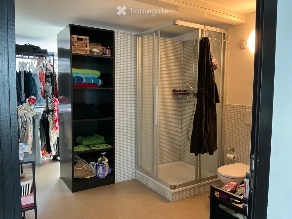 Loft moderno 2 locali in via Othmar Blumer a Freienstein