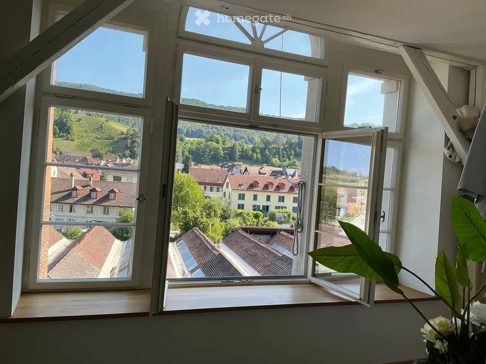 Loft moderno 2 locali in via Othmar Blumer a Freienstein