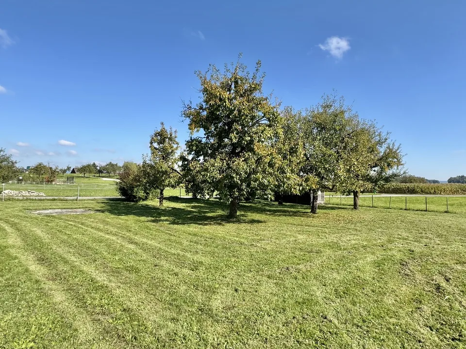 6.5 Zi. Riegelhaus mit Werkstatt/Stallung,Terrasse & Garten – Foto 2 von 13