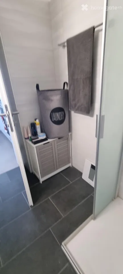 Charming 1.5-Room Studio Apartment for Rent in Avenches – Available Immediately