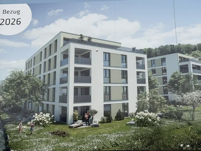 Premier location d'un grenier haut de gamme à Zofingen avantageux en termes d'impôts