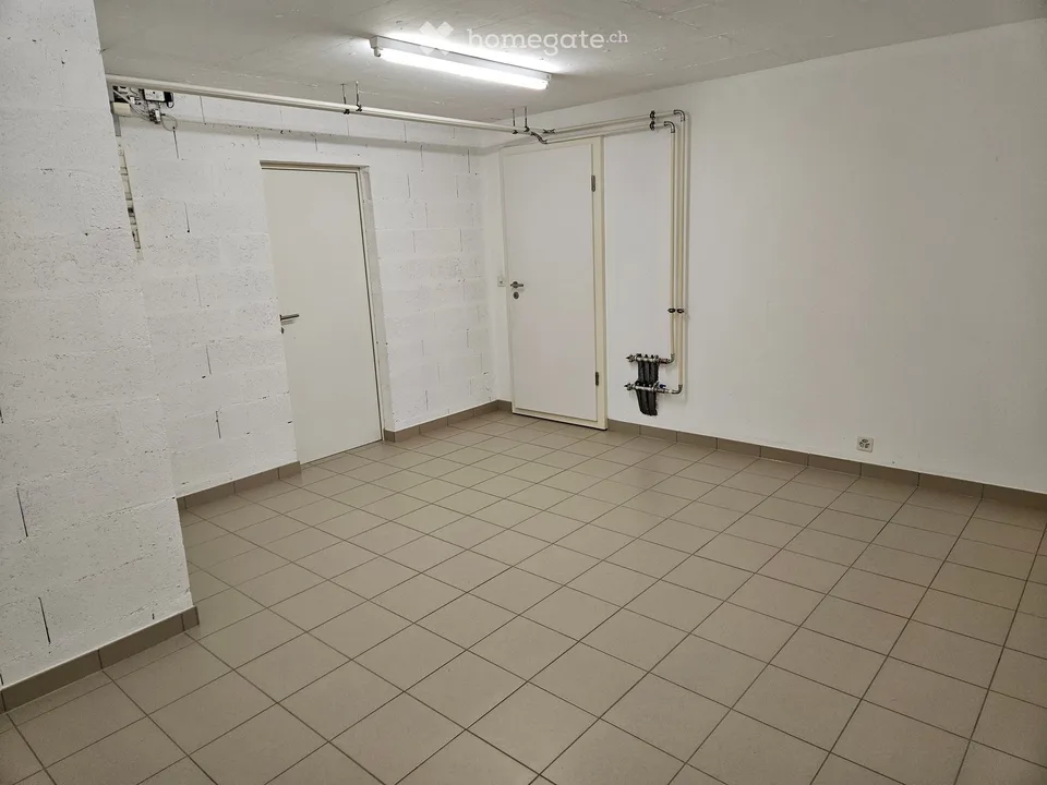Prachtvolles Doppelhaus mit 4.5 Zimmern + 1 Zimmer im Untergeschoss – sofort verfügbar