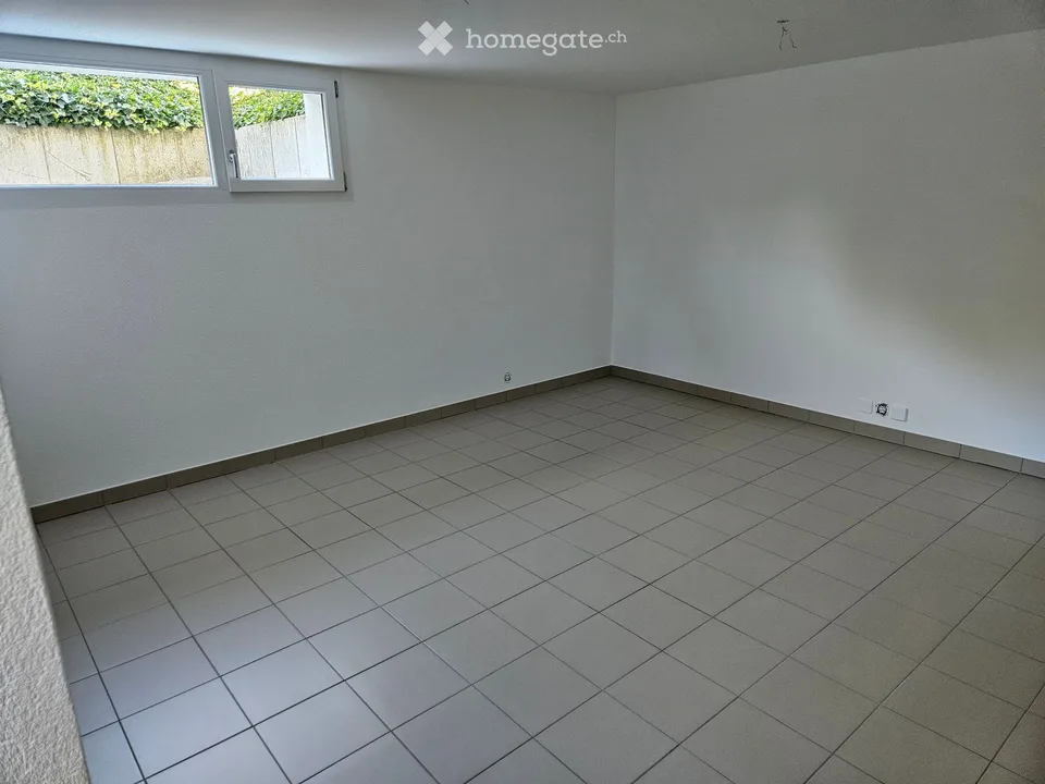 Prachtvolles Doppelhaus mit 4.5 Zimmern + 1 Zimmer im Untergeschoss – sofort verfügbar