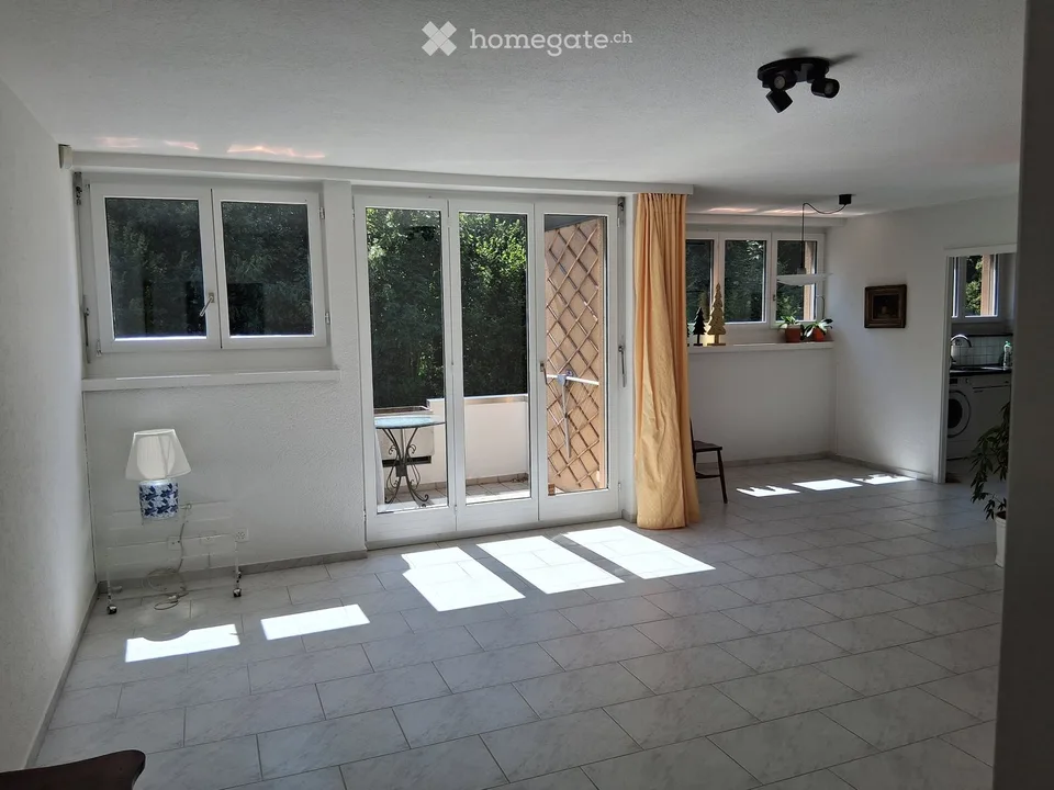 3.5-Zimmer-Dachwohnung – energetisch umfassend saniert