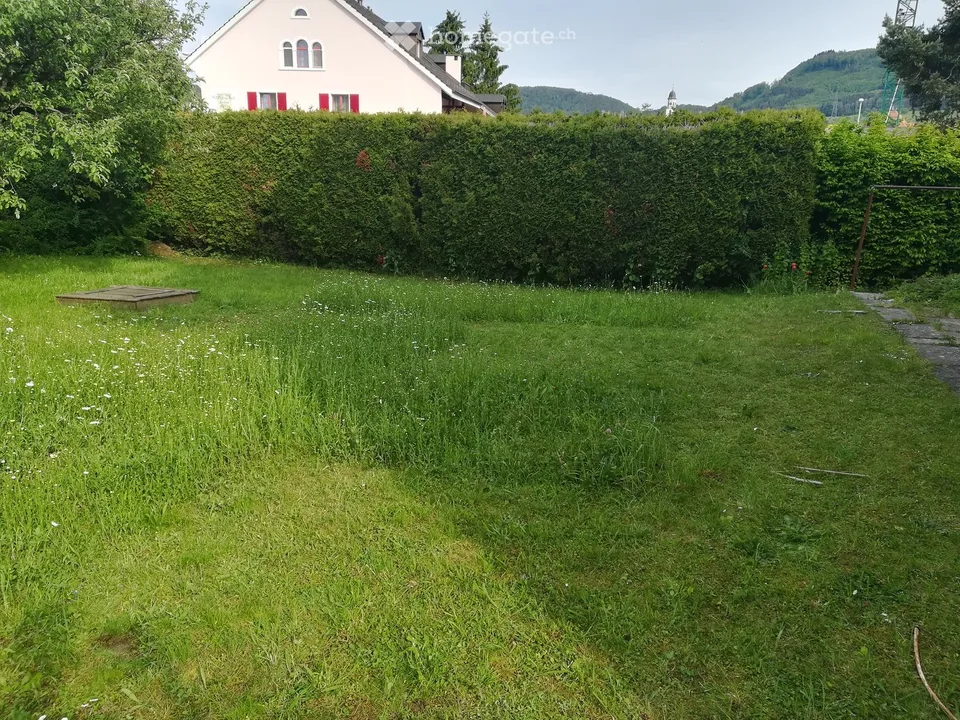 Maison mitoyenne 5,5 pièces avec grand jardin à Frick, en location