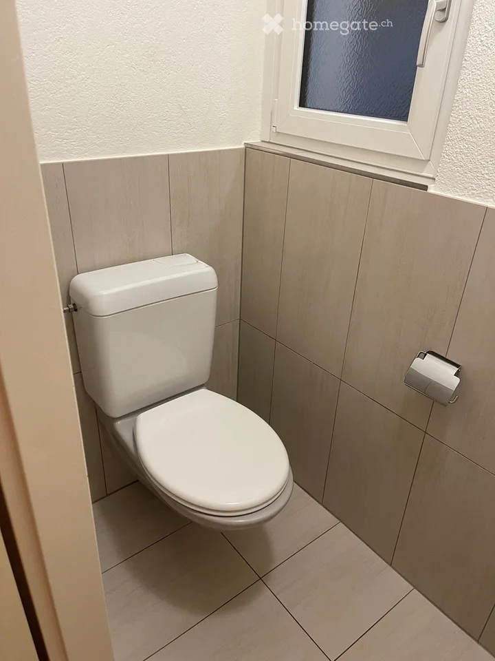 Charmante 3.5-Zimmer-Terrassenwohnung über den Dächern von Knonau