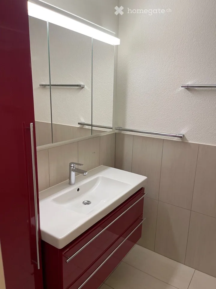 Charmante 3.5-Zimmer-Terrassenwohnung über den Dächern von Knonau