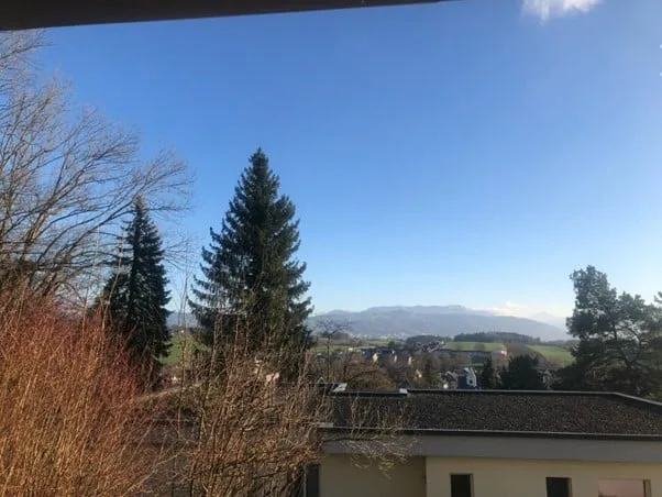 Charmante 3.5-Zimmer-Terrassenwohnung über den Dächern von Knonau