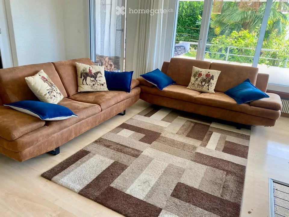 Charmante 3.5-Zimmer-Terrassenwohnung über den Dächern von Knonau