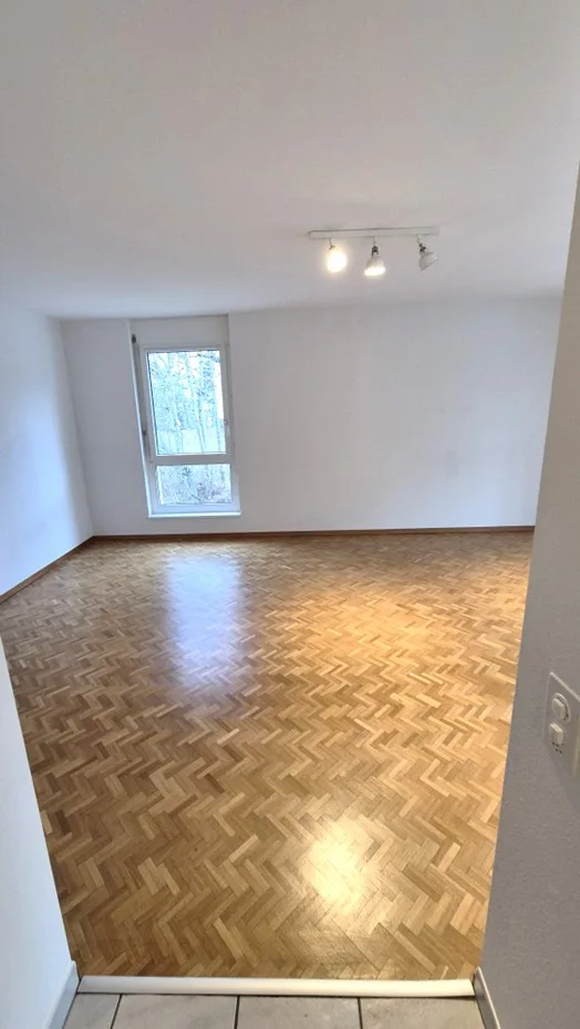 Spacieux et Charmant 4.5 pièce avec Grand Balcon et Parking ! – photo 11 sur 14