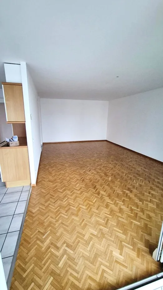 Spacieux et Charmant 4.5 pièce avec Grand Balcon et Parking ! – photo 3 sur 14