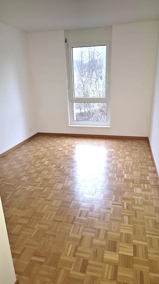 Spacieux et Charmant 4.5 pièce avec Grand Balcon et Parking ! – photo 7 sur 14