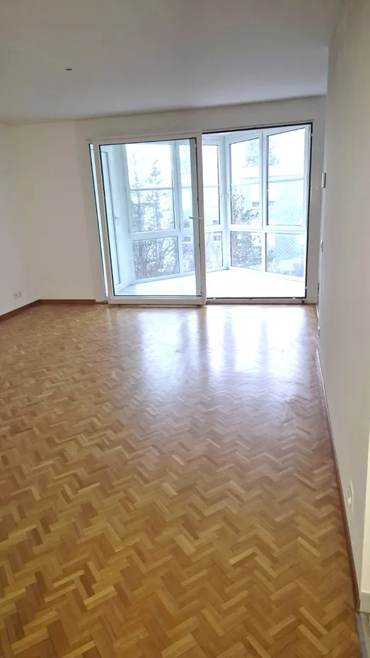 Spacieux et Charmant 4.5 pièce avec Grand Balcon et Parking ! – photo 5 sur 14