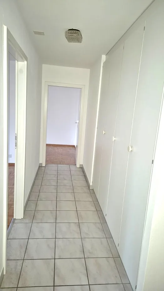 Spacieux et Charmant 4.5 pièce avec Grand Balcon et Parking ! – photo 8 sur 14