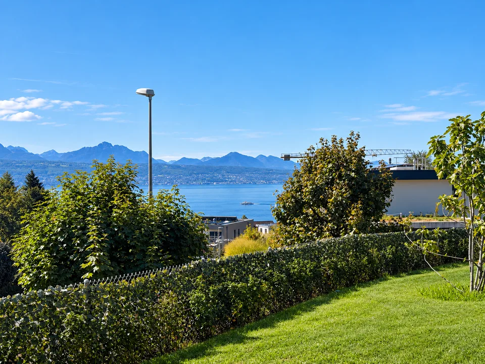 Ampio appartamento di 3.5 locali con accesso indipendente e grande giardino – foto 10 di 12