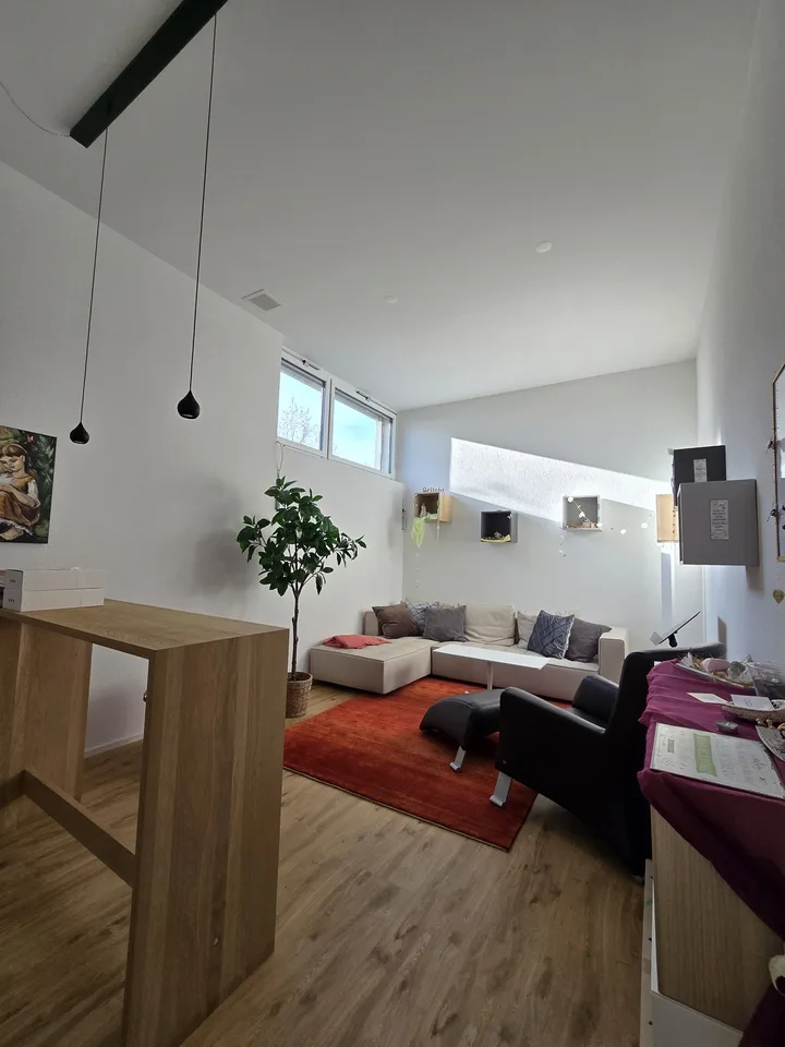 I vostri nuovi locali professionali moderni, luminosi & accoglienti – foto 11 di 13