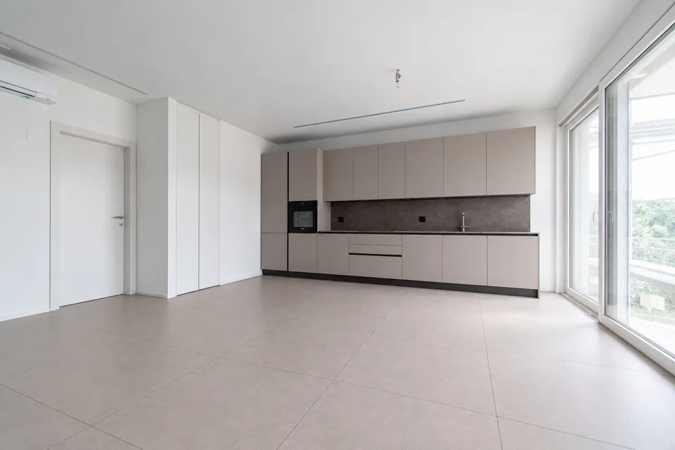 NEW AND MODERN 3.5 ROOM APARTMENT IN PREGASSONA – photo 2 of 11