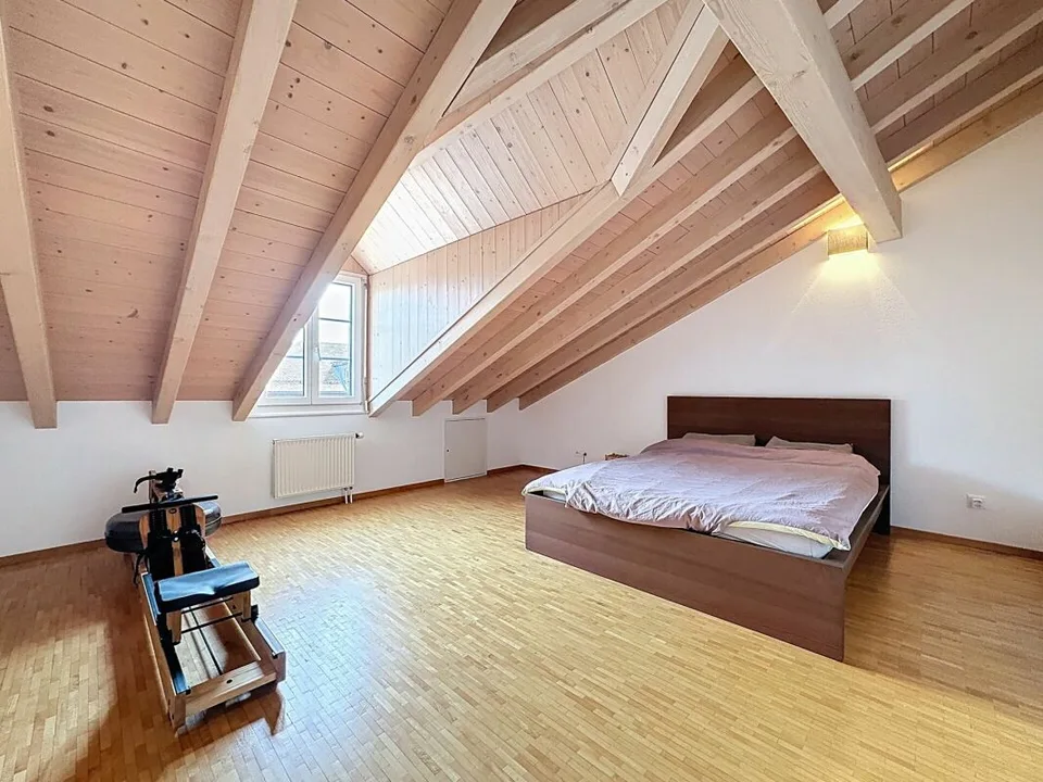 DUPLEX DI CARATTERE RINNOVATONEL CUORE DI FÉCHY-DESSUS – foto 21 di 23