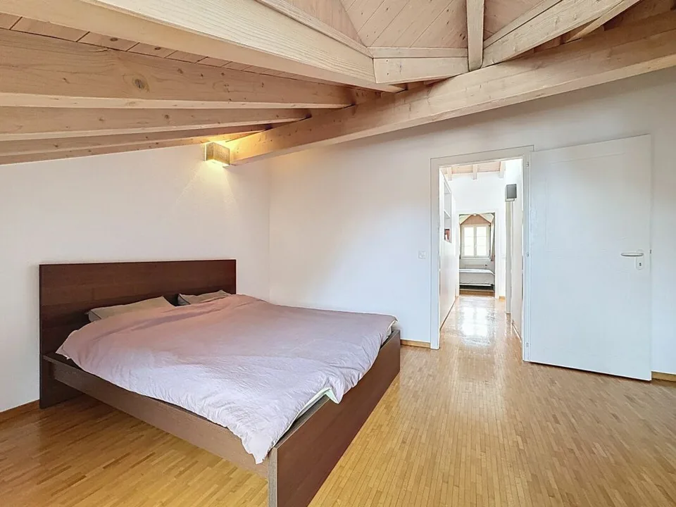 DUPLEX DI CARATTERE RINNOVATONEL CUORE DI FÉCHY-DESSUS – foto 20 di 23