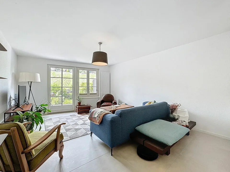 DUPLEX DI CARATTERE RINNOVATONEL CUORE DI FÉCHY-DESSUS – foto 11 di 23
