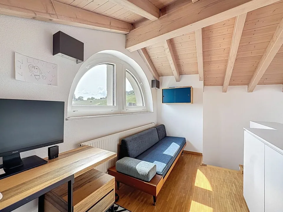 DUPLEX DI CARATTERE RINNOVATONEL CUORE DI FÉCHY-DESSUS – foto 17 di 23