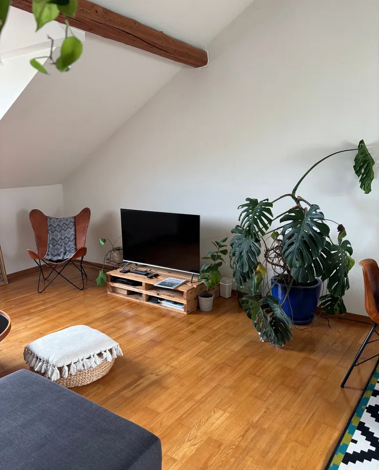 Charmantes 3.5-Zimmer-Wohnung im Herzen von Saint-Blaise