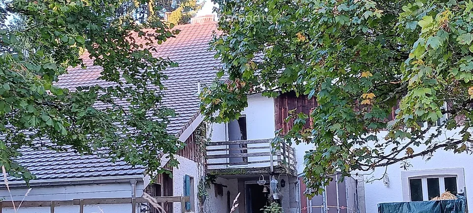 Incantevole appartamento di 3 locali ristrutturato in un ambiente verde – Les Vieux-Prés